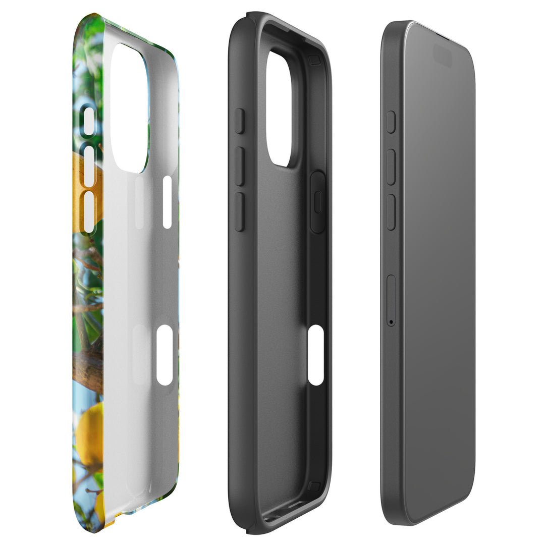 Dualschutz Zitronenbaum Design 2-in-1 Hybrid Hülle/Case für iPhone 16, 16 Plus, 16 Pro, 16 Pro Max, 15, 15 Plus, 15 Pro, 15 Pro Max, 14, 14 Plus, 14 Pro, 14 Pro Max, 13, 13 Pro, 13 Pro Max, 13 Mini, 12, 12 Pro, 12 Pro Max, 12 Mini | ZITOCASES®